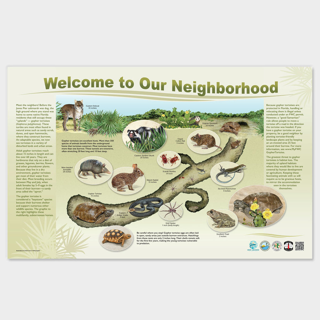 "Welcome to Our Neighborhood" Gopher Tortoise Burrow and Associates Di
