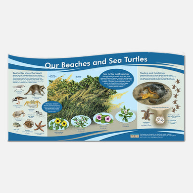 The colorful illustrations in this educational display are photo realistic and accurate in detail.