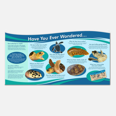 The colorful illustrations in this educational display are photo realistic and accurate in detail.