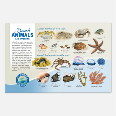 This beautiful beach animals identification deck sign was created for The Barrier Island Center, an environmental education facility located in Brevard County, Florida.