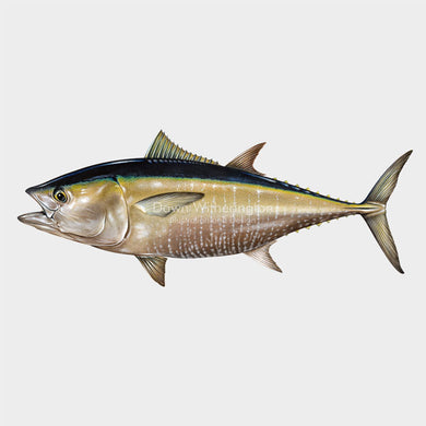 Atlantic Bluefin Tuna