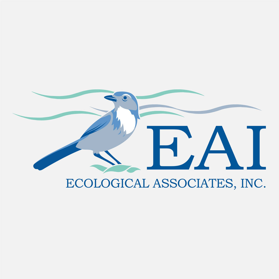 EAI provides environmental monitoring, permitting and consultation services. The logo is a graphic of a Florida scrub jay.
