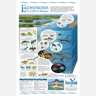 This beautiful poster provides information on the ecosystems of the Gulf of Mexico and how the are connected.