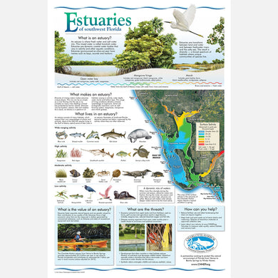 This beautiful poster provides information about estuaries of southwest Florida.