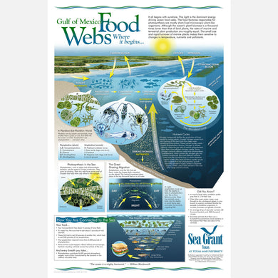This beautiful poster provides information on food webs of the Gulf of Mexico and how the are connected.