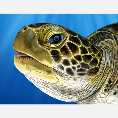 Stylized green turtle