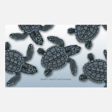 This design is an illustration of Kemp's ridley sea turtle hatchlings, Lepidochelys kempii.