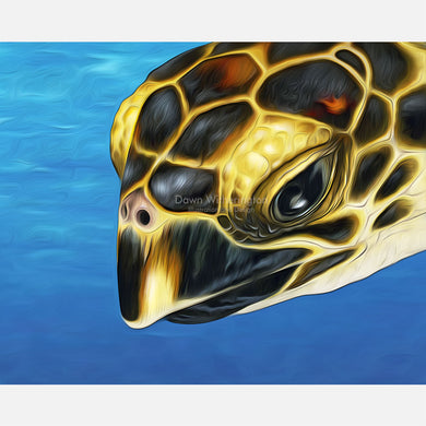 Stylized juvenile hawksbill turtle
