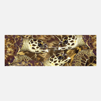 Hawksbill turtle graphic