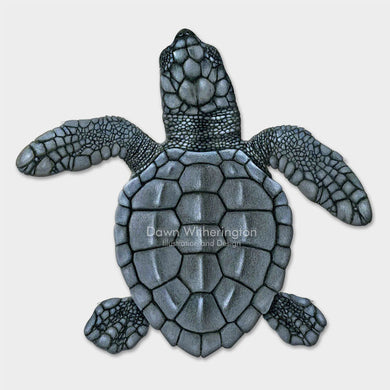 This beautiful dorsal illustration of a hatchling Kemp's ridley sea turtle (Lepidochelys kempii) is biologically accurate in detail.