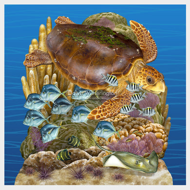 Florida Reef Tract Display, Featuring a Loggerhead Sea Turtle, Florida Oceanographic Society Ocean EcoCenter
