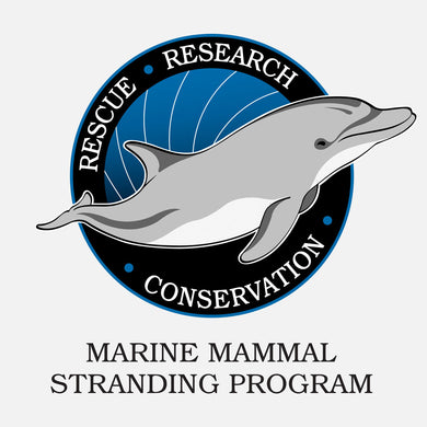Florida's Marine Mammal Stranding Program logo. The logo is of a graphical dolphin.