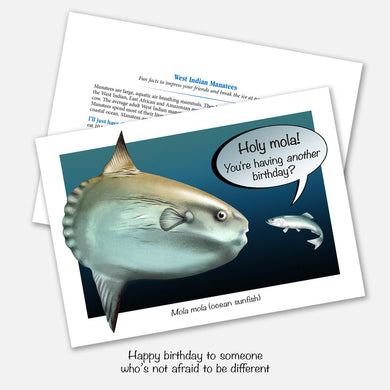 The card's image is of mola (ocean sunfish) with a smaller fish saying 