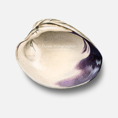 This beautiful drawing of a northern quahog shell, Mercenaria mercenaria, is accurate in detail.