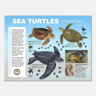 This beautifully illustrated educational display describes and identifies sea turtles that occur at Andy Romano Beachfront Park, Ormond Beach, Florida.