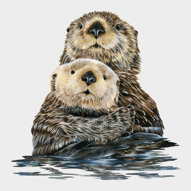 This cute illustration is of a mother sea otter (Enhydra lutris) with her pup.