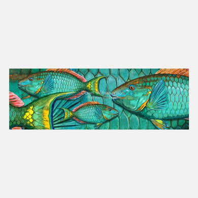 Stoplight parrotfish graphic