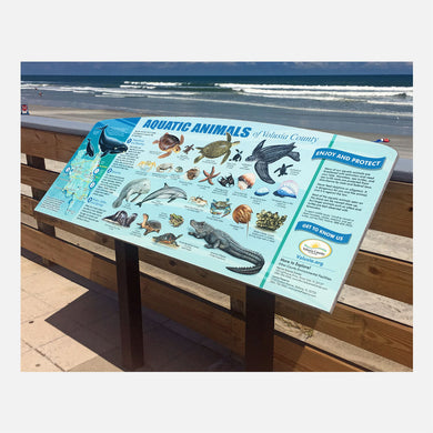 Aquatic Animals of Volusia County display