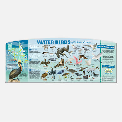 This beautifully illustrated educational display describes and identifies water birds of Volusia County.