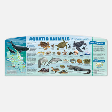 This beautifully illustrated educational display describes and identifies aquatic animals of Volusia County.