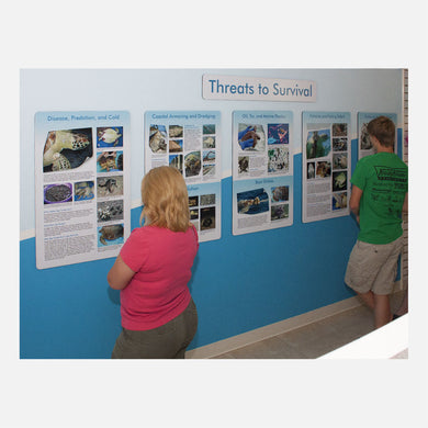 These educational displays were created for The Turtle Hospital in Marathon Florida.