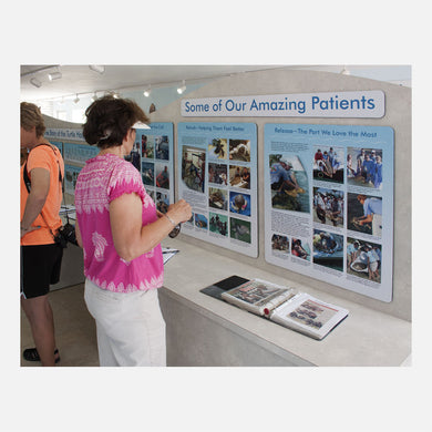 These educational displays were created for The Turtle Hospital in Marathon Florida.