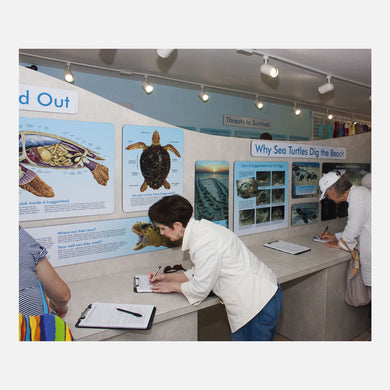 These educational displays were created for The Turtle Hospital in Marathon Florida.