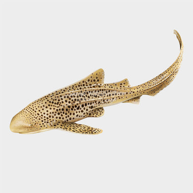 This beautiful illustration of an adult zebra shark (Stegostoma fasciatum) is biologically accurate in detail