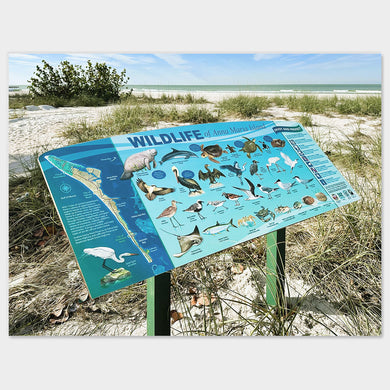 Wildlife of Anna Maria Island Installed