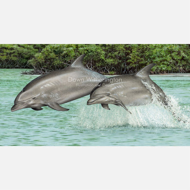 Common Bottlenose Dolphin Pair
