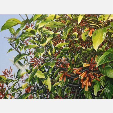 Life in a Firebush