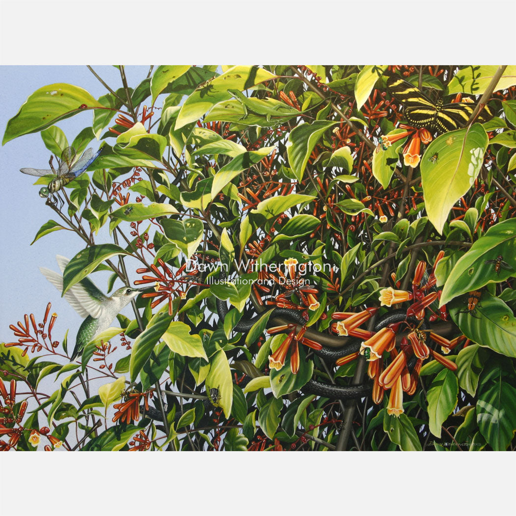 Life in a Firebush