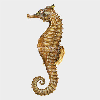 Lined Seahorse