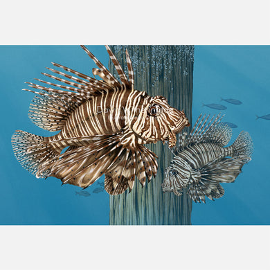 Red Lionfish and Dock Piling