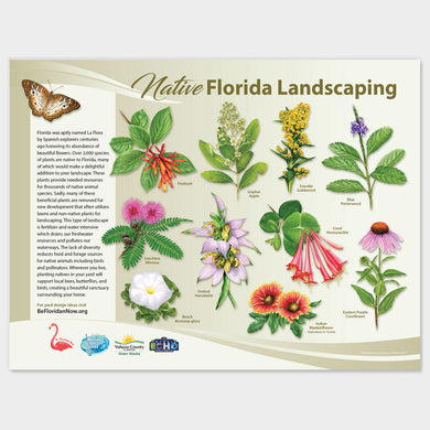 Native Florida Landscaping