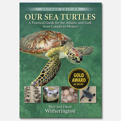 Our Sea Turtles (Second Edition) by Blair and Dawn Witherington