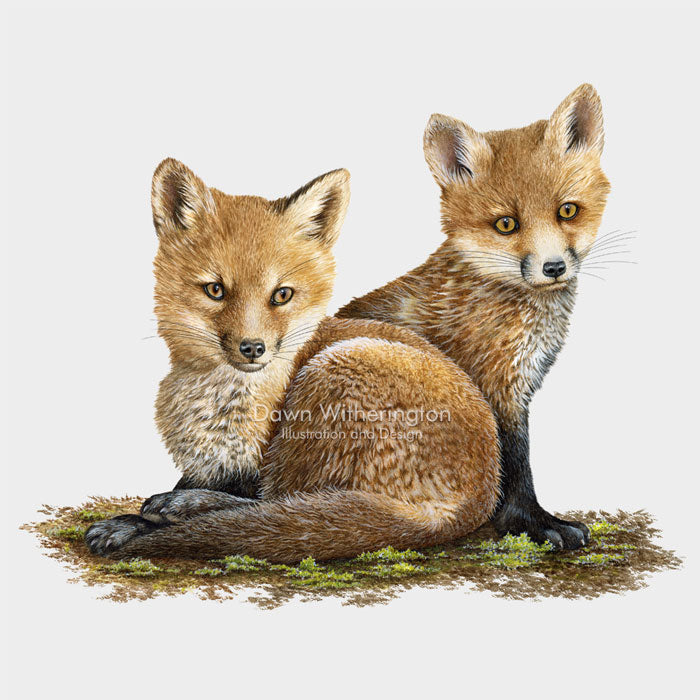 Red Fox Kits – drawnbydawn