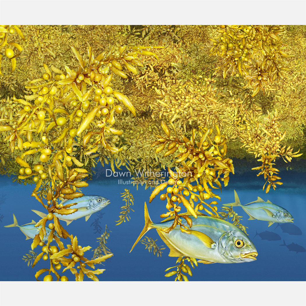 The Sargassum Community with Yellow Jacks