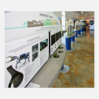 These interactive displays created for The Barrier Island Center in Brevard County, Florida, describes the different habitats of the barrier island.
