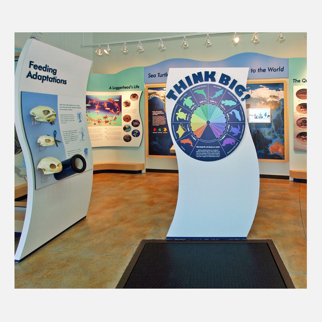These interactive displays were created for The Barrier Island Center in Brevard County, Florida.