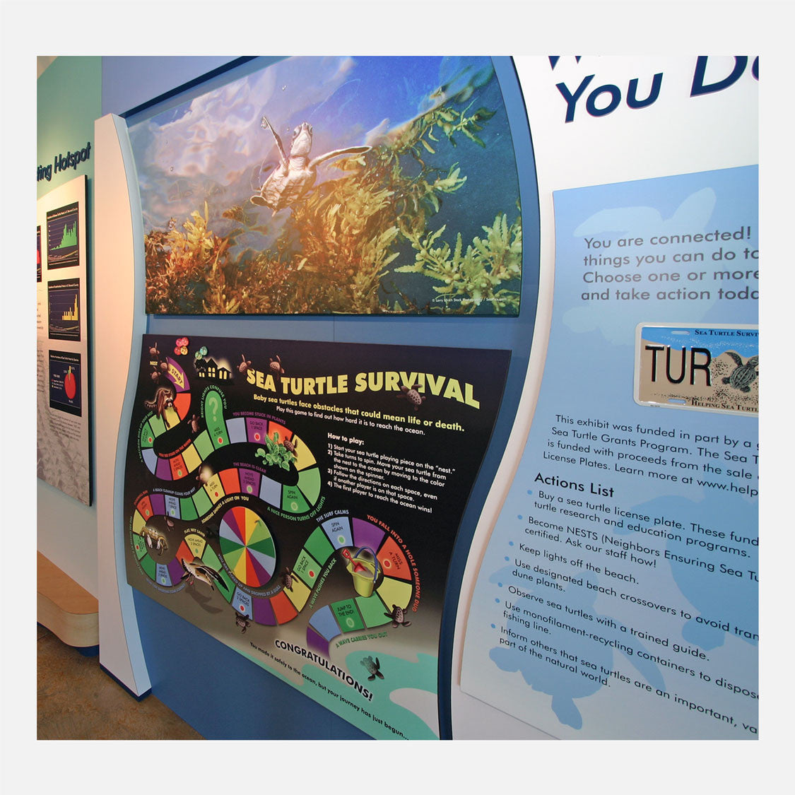 This interactive sea turtle game was created for The Barrier Island Center in Brevard County, Florida. The game describes the hazards a sea turtle hatchling must overcome before reaching the ocean.