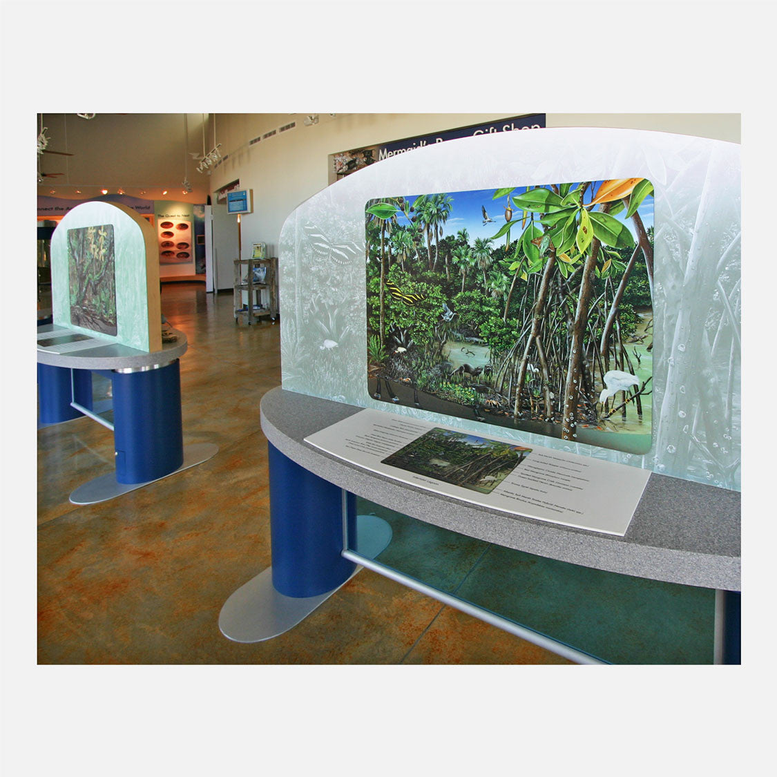 This beautifully illustrated display describes the flora and fauna of the intertidal habitat of an east coast Florida barrier island. 