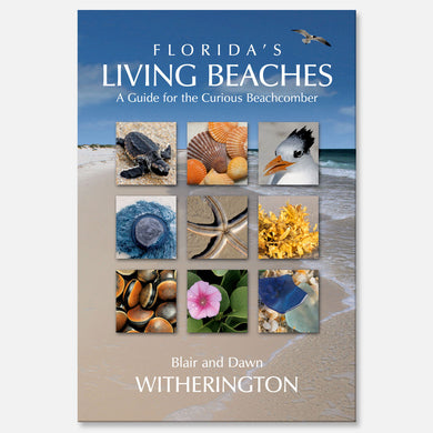 Florida's Living Beaches by Blair and Dawn Witherington