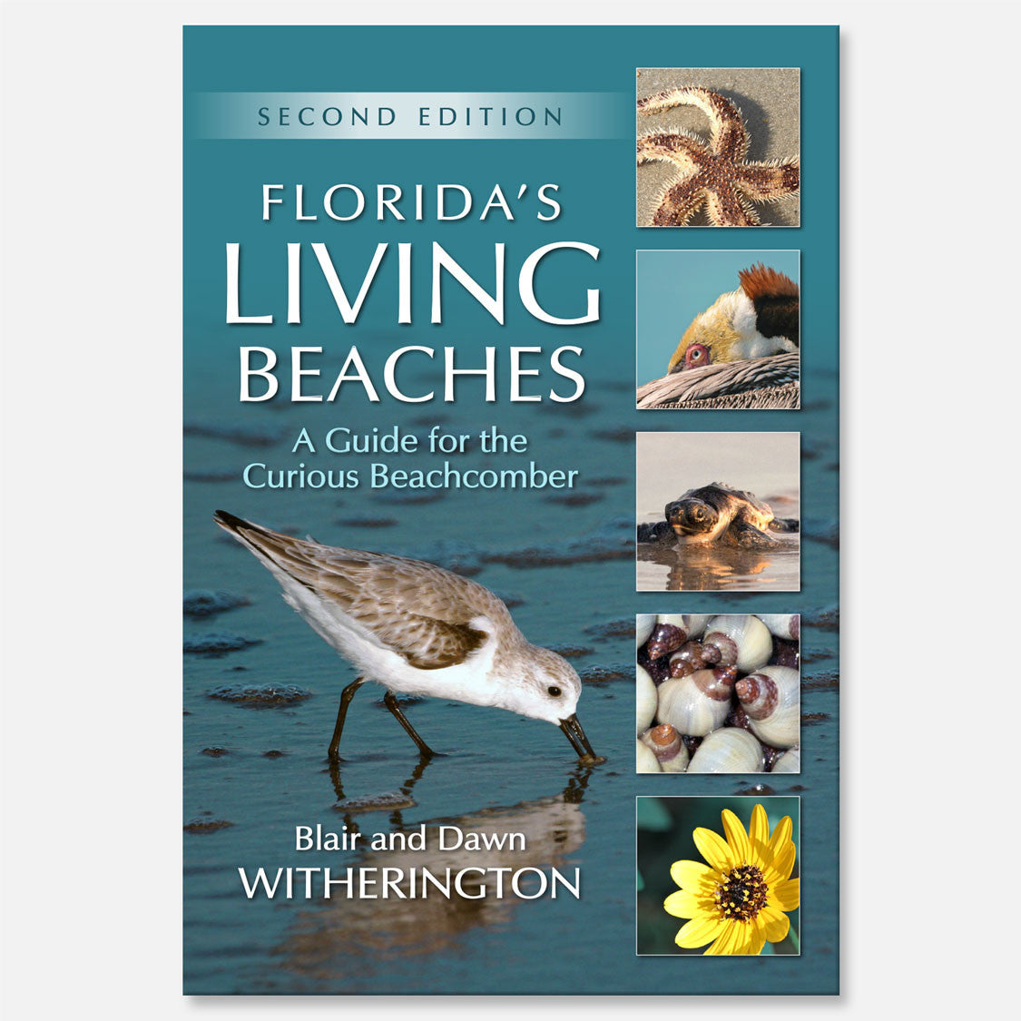 Florida's Living Beaches (2nd Edition) by Blair and Dawn Witherington