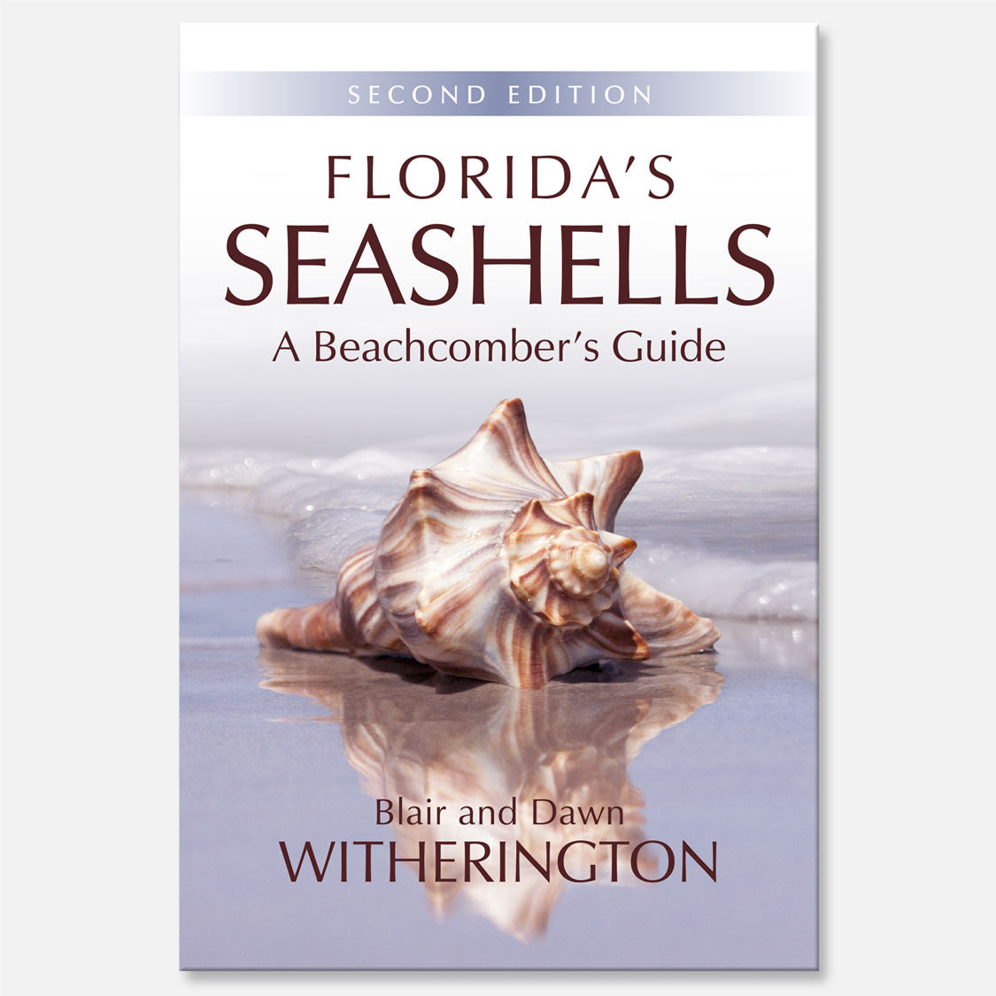 Florida's Seashells (2nd Edition) by Blair and Dawn Witherington