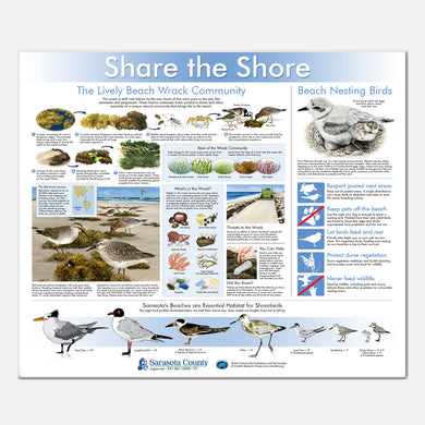 This beautifully illustrated informational/identification display emphasizes beach wrack and its connection to Florida shorebirds. 
