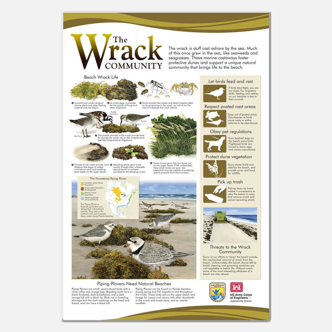 This beautifully illustrated educational display describes the beach wrack of the southeastern US.