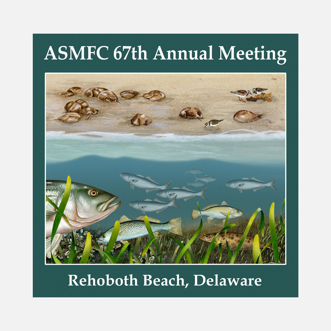 67th annual meeting of the Atlantic States Marine Fisheries Commission, Rehoboth Beach, Delaware, 2008. The logo is a split image of several Delaware marine species.