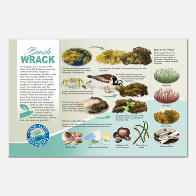 This beautiful wrack community deck signage was created for The Barrier Island Center, an environmental education facility located in Brevard County, Florida.