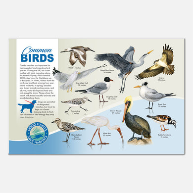 This beautiful beach bird identification deck sign was created for The Barrier Island Center, an environmental education facility located in Brevard County, Florida.